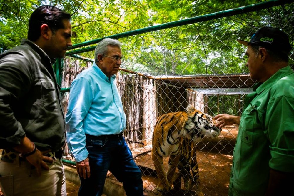 El Gobernador de Sinaloa Rubén Rocha visita el santuario de animales silvestres OSTOK 2022 3