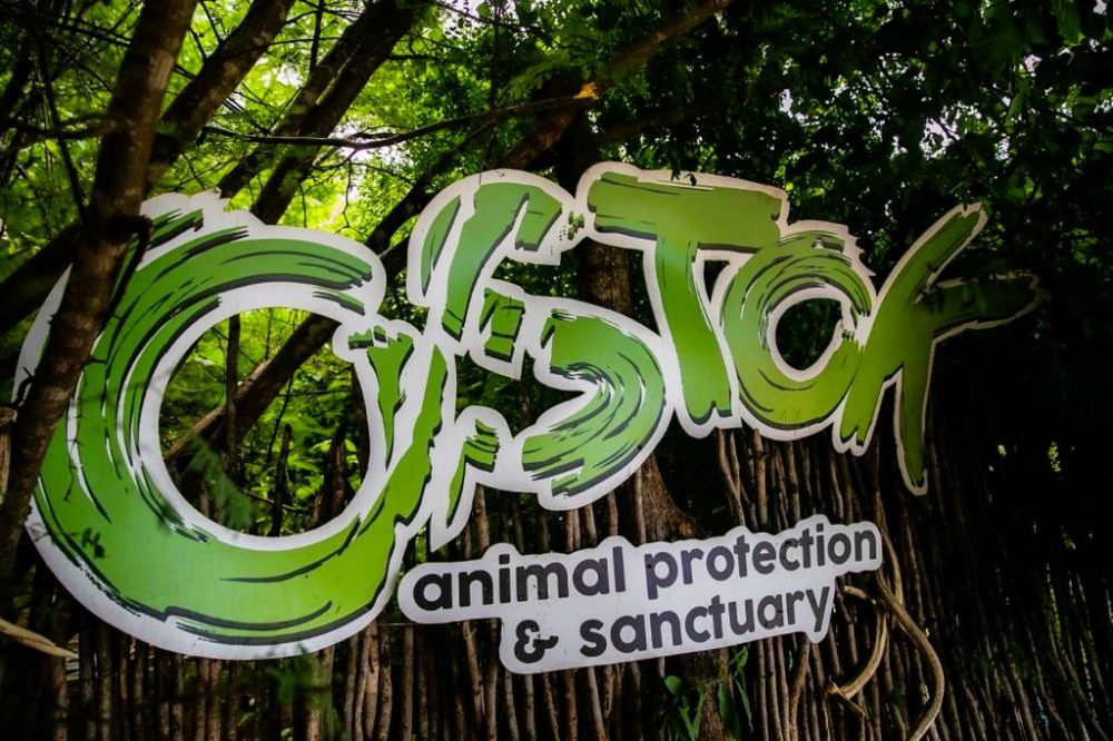 El Gobernador de Sinaloa Rubén Rocha visita el santuario de animales silvestres OSTOK 2022 5
