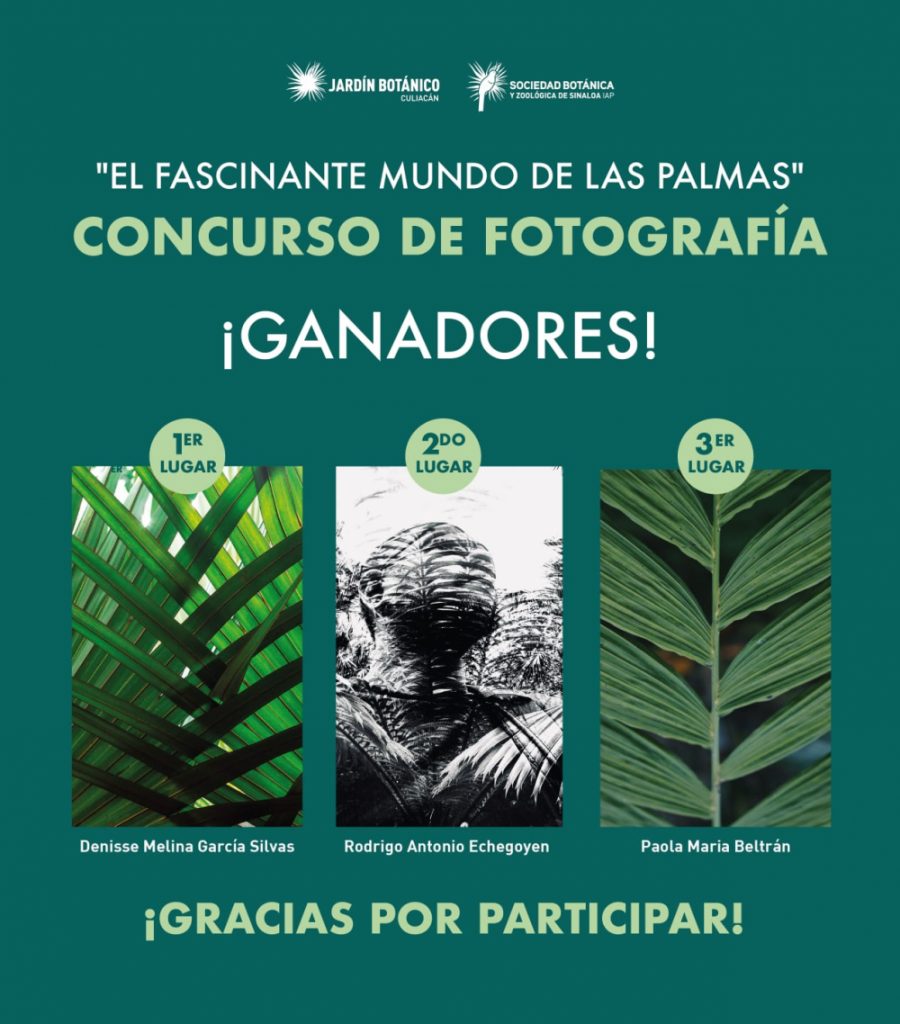 Premian a ganadores del concurso de fotografía El fascinante mundo de las palmas 2022 1