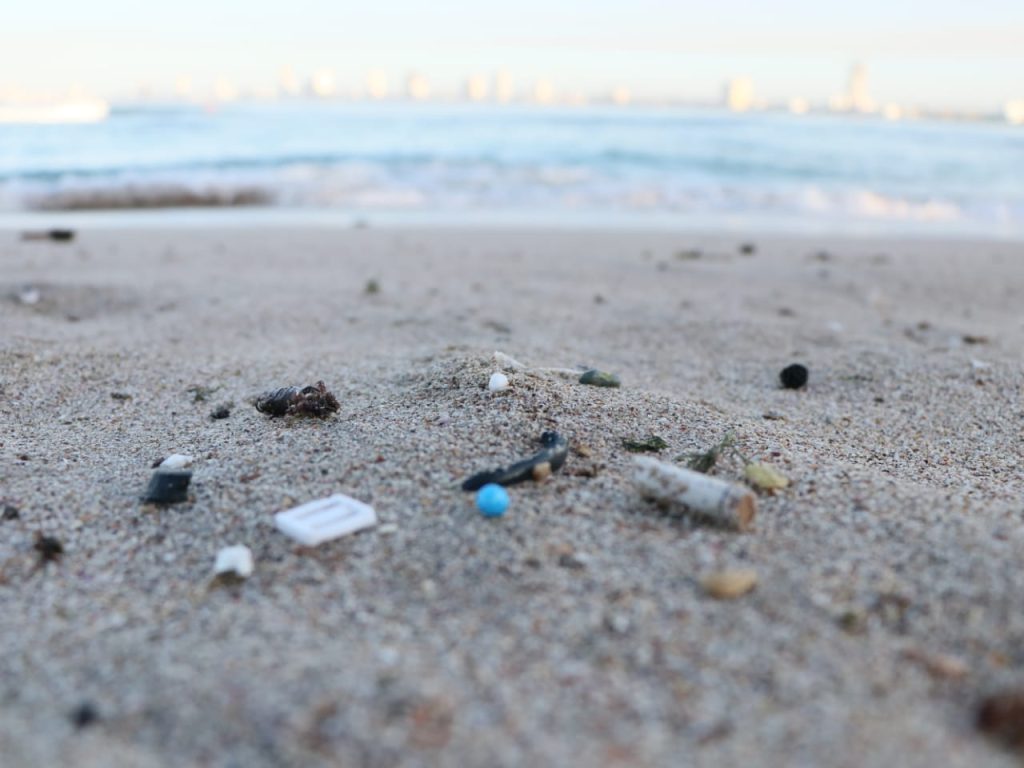 Gobierno Municipal inicia el año en defensa del medio ambiente con limpieza de playa 2022 13