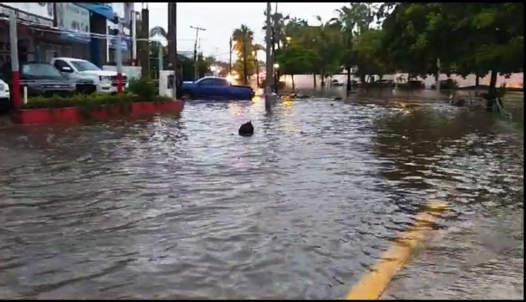 Se activan protocolos de atención del Gobierno de Mazatlán ante lluvia y viento 2023 2