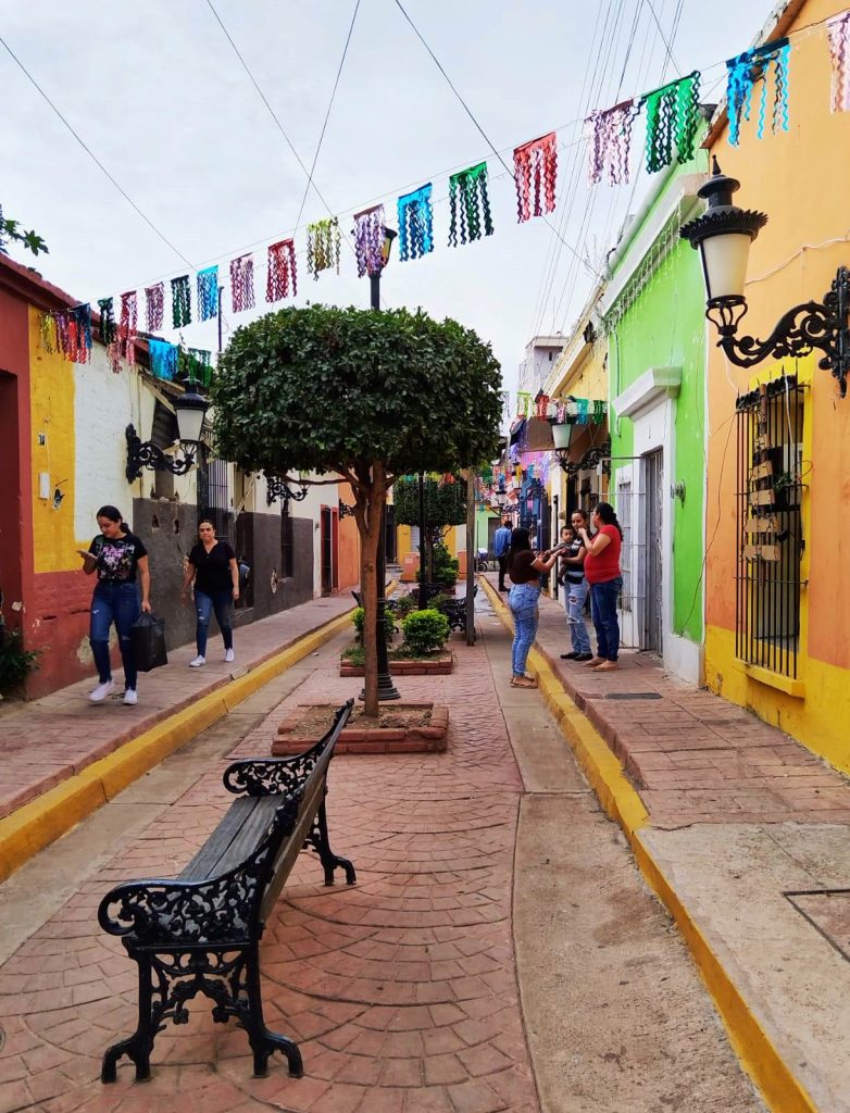 En lo más profundo de las intrincadas calles de El Rosario, Pueblo Mágico, se localiza el Barrio 22 de Diciembre 2023 5