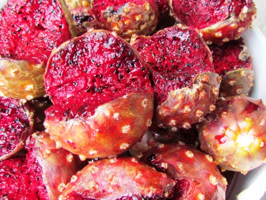 Las Pitahayas dan colorido y sabor en San Ignacio Las Pitahayas de San Ignacio de Loyola Pueblo Señorial Sinaloa, México, Mayo de 2018 (6 a)