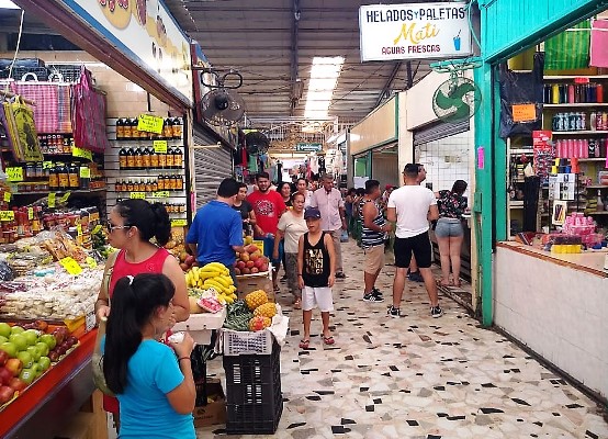 Mercado Municipal Pino Suárez Mazatlán Zona Trópico Verano 2018 Turistas 1