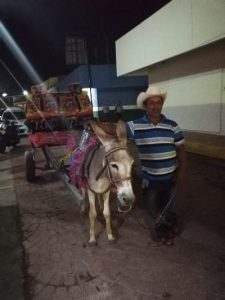 Callejoneada de las Ánimas en El Rosario Pueblo Màgico Sinaloa México 1