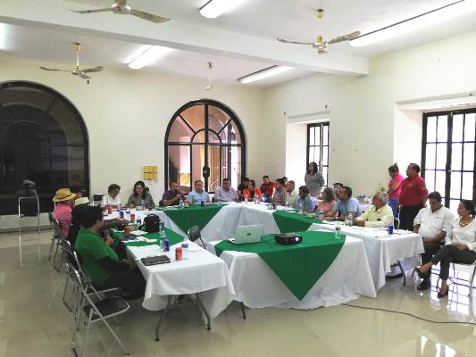 San Ignacio CODESIN Zona Sur Conformación Consejo Ciudadano Enero 2019 1