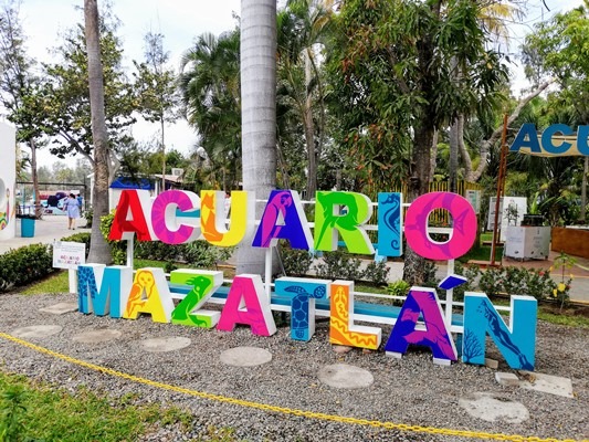 Acuario Mazatlán y la Acuaponía: ¿Sabes qué es? 5