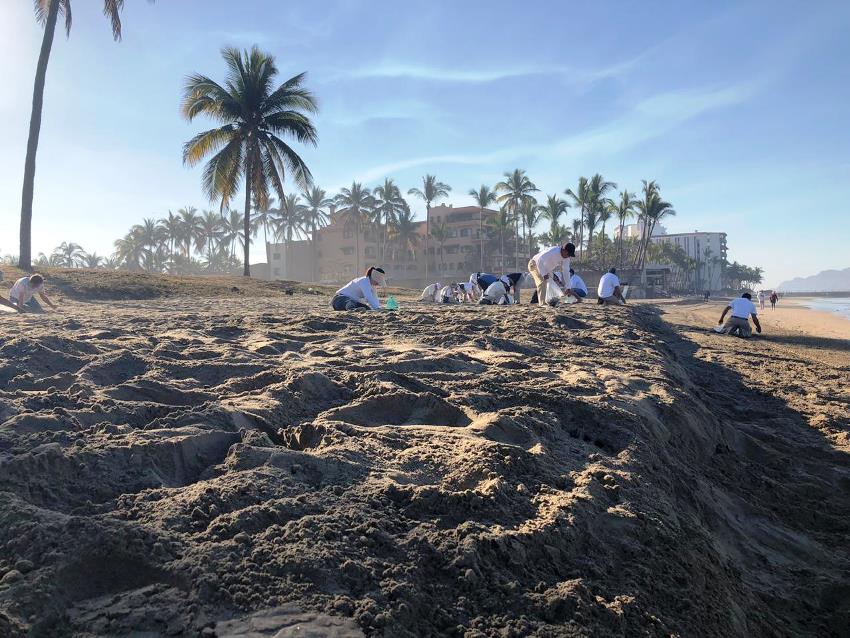 Carnaval de la Limpieza Mazatlán Playa Gaviotas Sabalo 2019