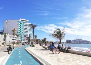 Palmeras del Malecón de Mazatlán Mitos y Mitotes pero el Químico Benítez no hace nada 2019 1