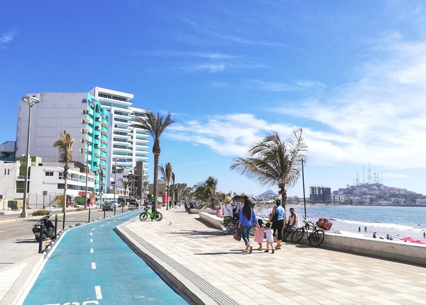Palmeras del Malecón de Mazatlán Mitos y Mitotes pero el Químico Benítez no hace nada 2019 1