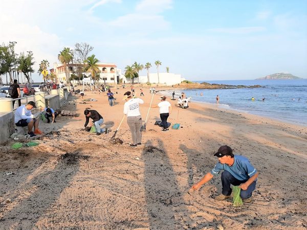 Jornada Limpiez Playa Pinitos Mazatlán 2019 3