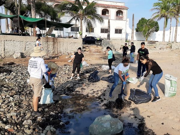 Jornada Limpiez Playa Pinitos Mazatlán 2019 1