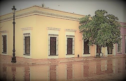 Mocorito Pueblo M&aacute;gico Girasoles 2019 a2