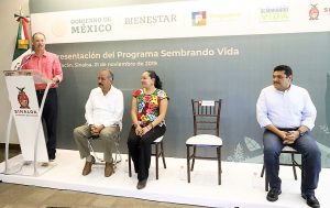 Programa Sembrando Vida Sinaloa 2019 1