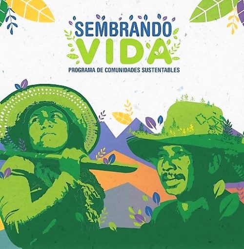 Programa Sembrando Vida Sinaloa 2019 3