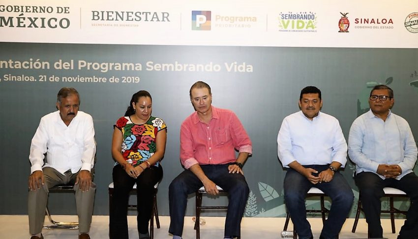 Programa Sembrando Vida Sinaloa 2019