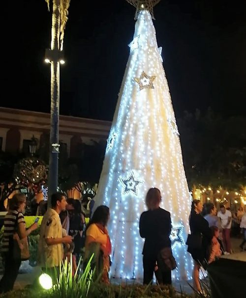 Encendido de Luces Navideñas Plazuela Machado Mazatlán 2019 4