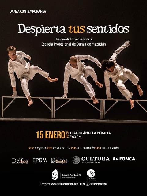 “Despierta tus sentidos” en el TAP