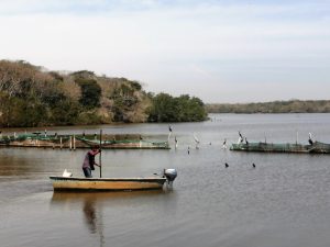 Estero de la Escopama en Mazatl&aacute;n Vivir en la Abundancia pero Pobres 1