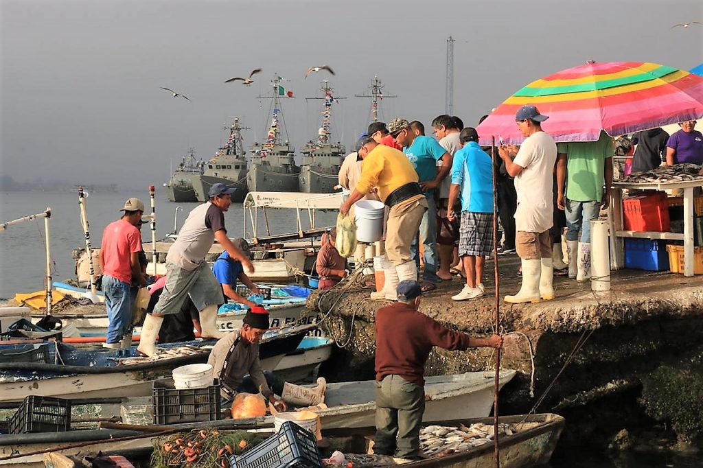 Llamado a Prestar Orientación a Puesteros del Mercado de Mariscos del Muelle de la Isla de la Piedra de Mazatlán Covid- 19 2020 (2)