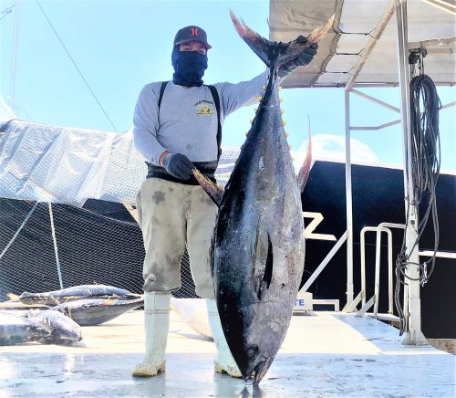 Pesca Azteca Apoya Asilo de Ancianos La Imaculada de Mazatlán por Covid - 19 2020 2 (3)