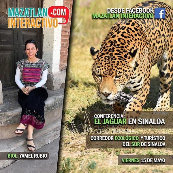 Yamel Rubio ROcha Conferencia Magistral El Jaguar en Sinaloa 2020 Desde Casa Promo Fascebook