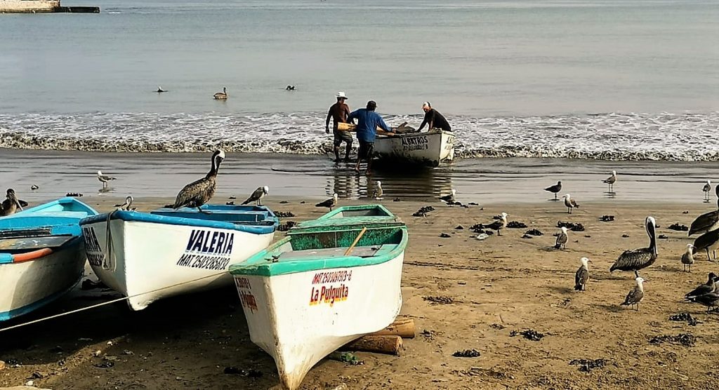 En Mazatlán Inspiramos Confianza: Pescadores de Playa Norte En Mazatlán Inspiramos Confianza Pescadores Playa Norte 2020