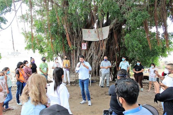 El Gran Árbol de Mazatlán en Jacarandas el Gran Ejemplo a Seguir 2020 6