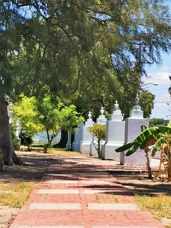Panteón Ángela Peralta Mazatlán Robo de la Reja de Enrtada Agosto 2020 (5)