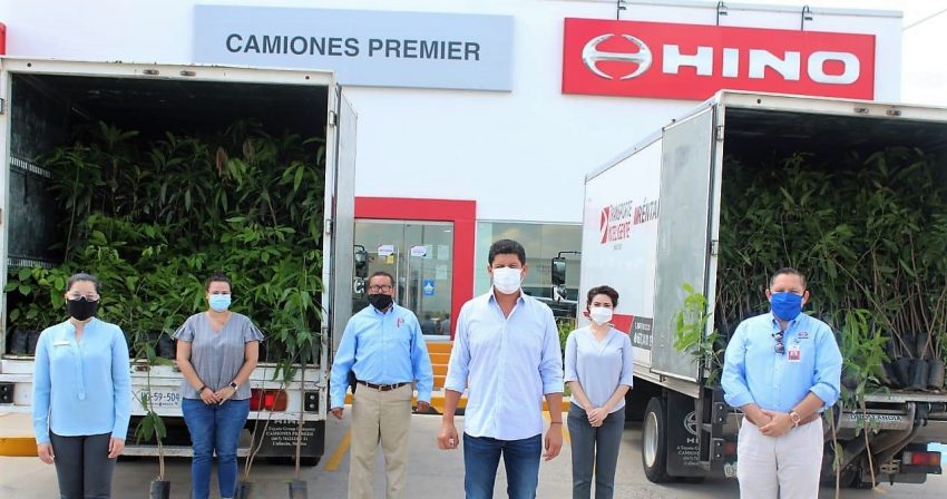 Premier Automotriz Se Suma Campaña Reforestación Sinaloa 2020