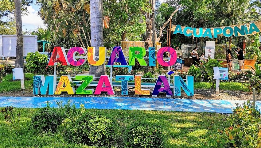 Acuario Mazatlán 40 Aniversario 2020 (9)