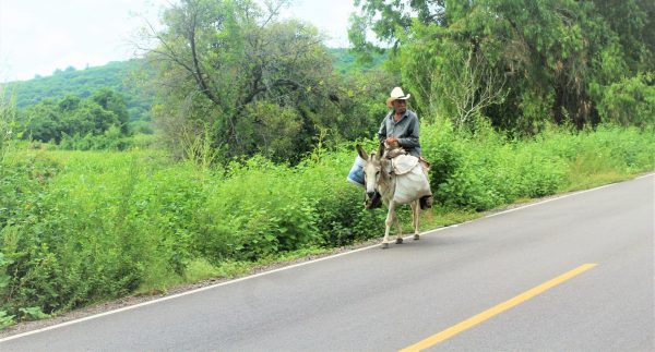 El Quelite Caso de Éxito en Turismo Rural en Latinoamérica 2020 (2)