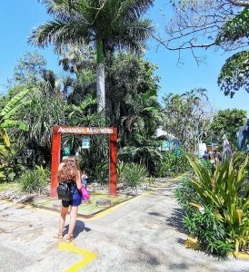 Acuario Mazatlán en las Preferencias de los Visitantes 2020 1