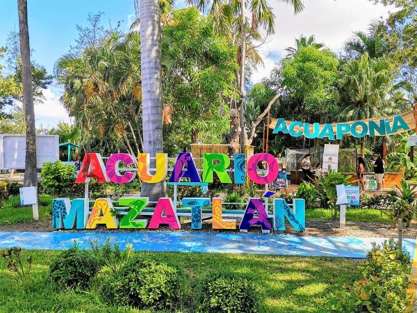 Acuario Mazatlán en las Preferencias de los Visitantes 2020 5