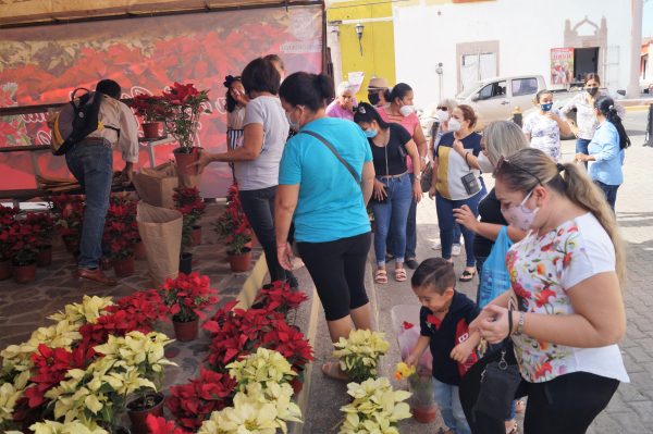 Feria de la Flores de Noche Buena Concordia Sinaloa México Zona Trópico La Petaca 2020 4