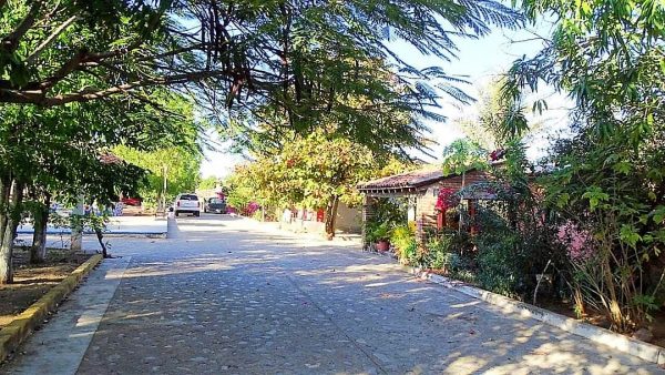 Camacho San Ignacio Sinaloa, M&eacute;xico Zona Tr&oacute;pico por Juan Ram&oacute;n Manjarrez 2021 1