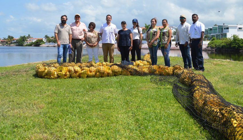 Caso Pesca Azteca Caso Biobardas Mazatlán un Ejemplo a Seguir 2021 (4)