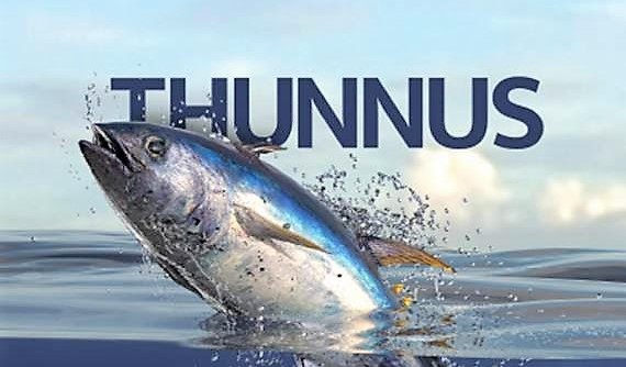 Thunnus Libro de Pesca Azteca Día Mundial del Atún 2021 (1)