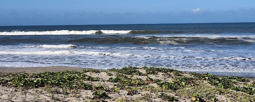 Sinaloa busca el liderazgo nacional de Playas Limpias Impulsan recertificación de Ceuta