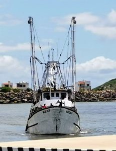 La Tradicional despedida de los Pescadores de Camarón de Mazatlán 2021 2