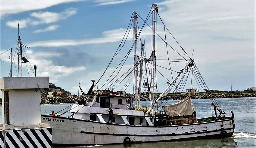 La Tradicional despedida de los Pescadores de Camarón de Mazatlán 2021