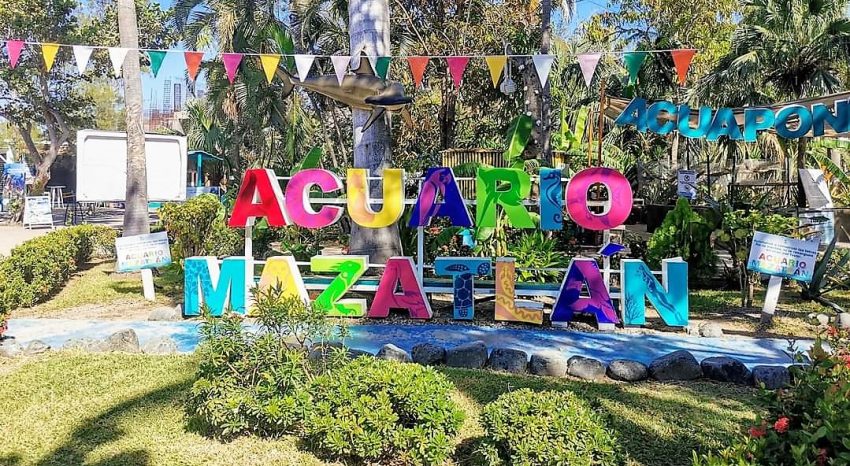 Asómbrate con las Maravillosas y Misteriosas Especies que Habitan en Acuario Mazatlán 2021