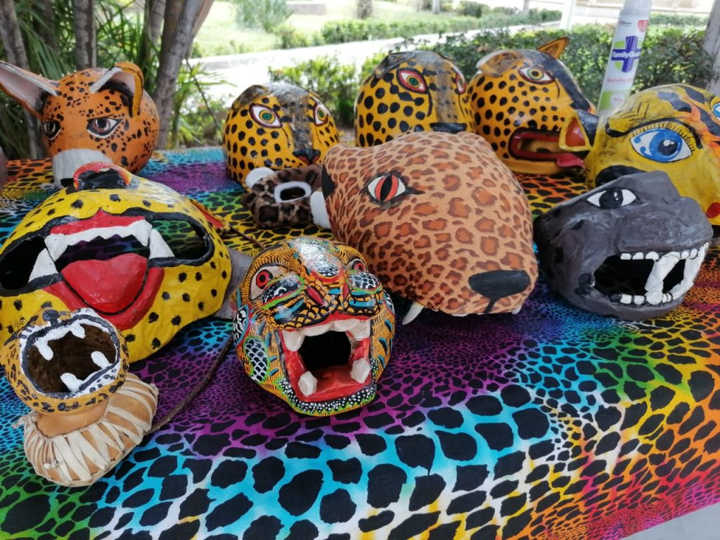 Conmemoran el Día Internacional del Jaguar en San Ignacio Biólogos participan en jornada de cuidado de este felino