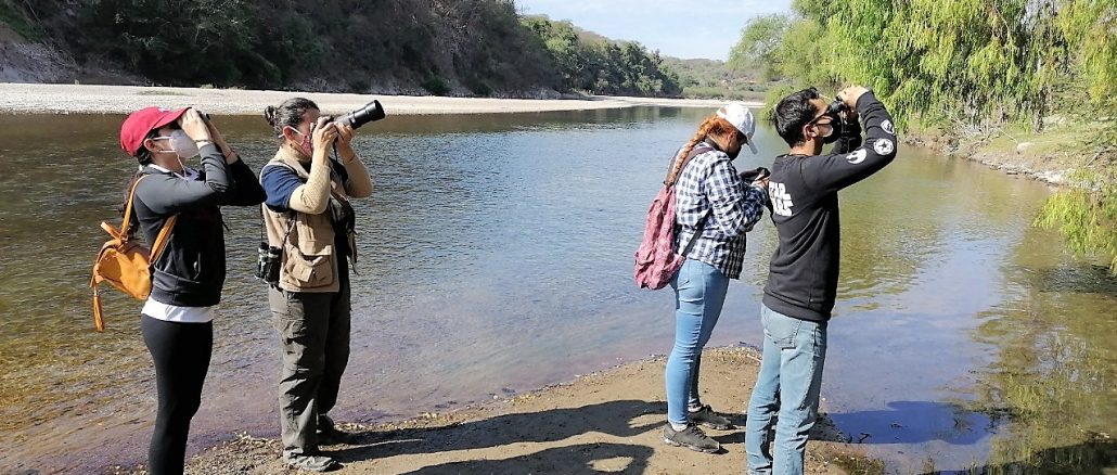 Realizan conteo de aves en San Ignacio de Loyola Pueblo Señorial Sinaloa en la Zona Trópico 2022