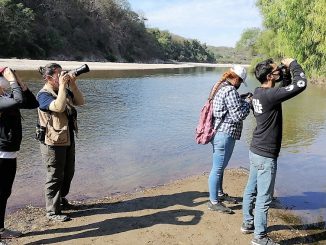 Realizan conteo de aves en San Ignacio de Loyola Pueblo Señorial Sinaloa en la Zona Trópico 2022
