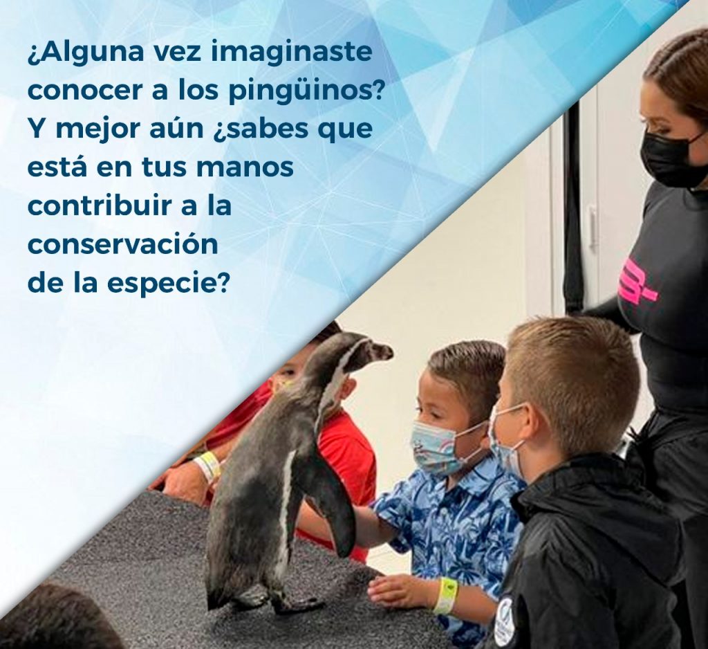 Fichas Técnicas pingüinario Acuario Mazatlán 2022 (8)