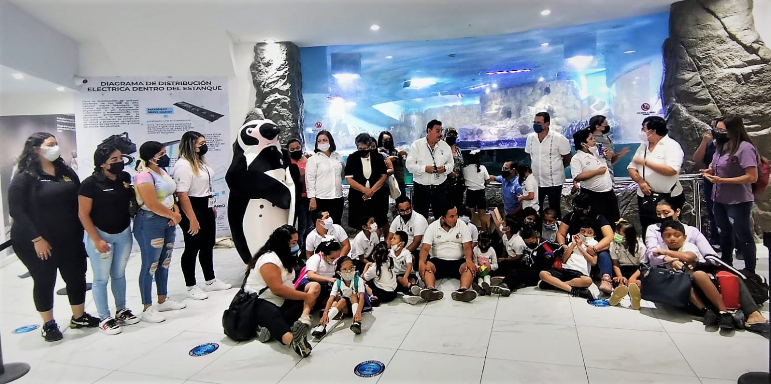 Celebra Acuario Mazatlán “Día Mundial del Pingüino” Celebra Acuario Mazatlán “Día Mundial del Pingüino”2022