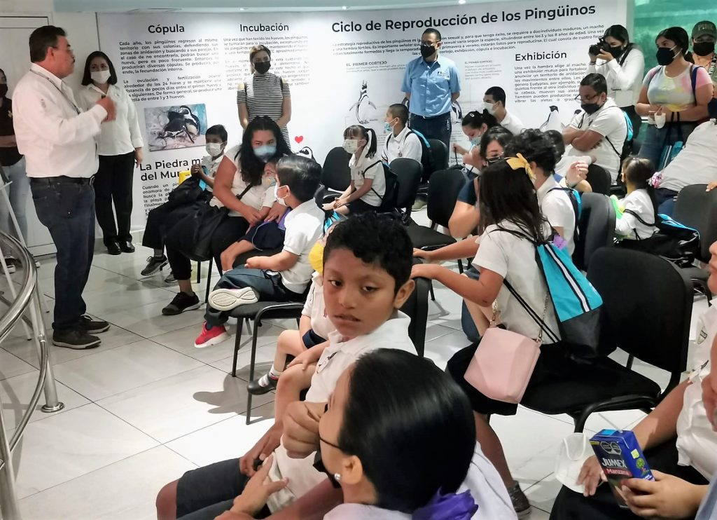 Celebra Acuario Mazatlán “Día Mundial del Pingüino”2022 5