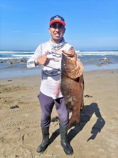 Buscan atraer visitantes con torneos de pesca en San Ignacio Sinaloa 2022 1