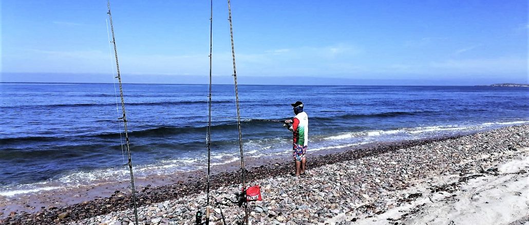 Buscan atraer visitantes con torneos de pesca en San Ignacio Sinaloa 2022